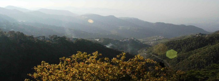 382/Fortune Resort Grace - Mussoorie 11.jpg